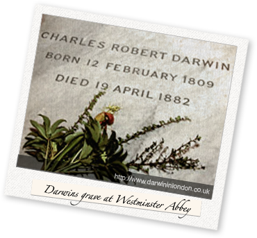 Darwins grave at Westminster Abbey