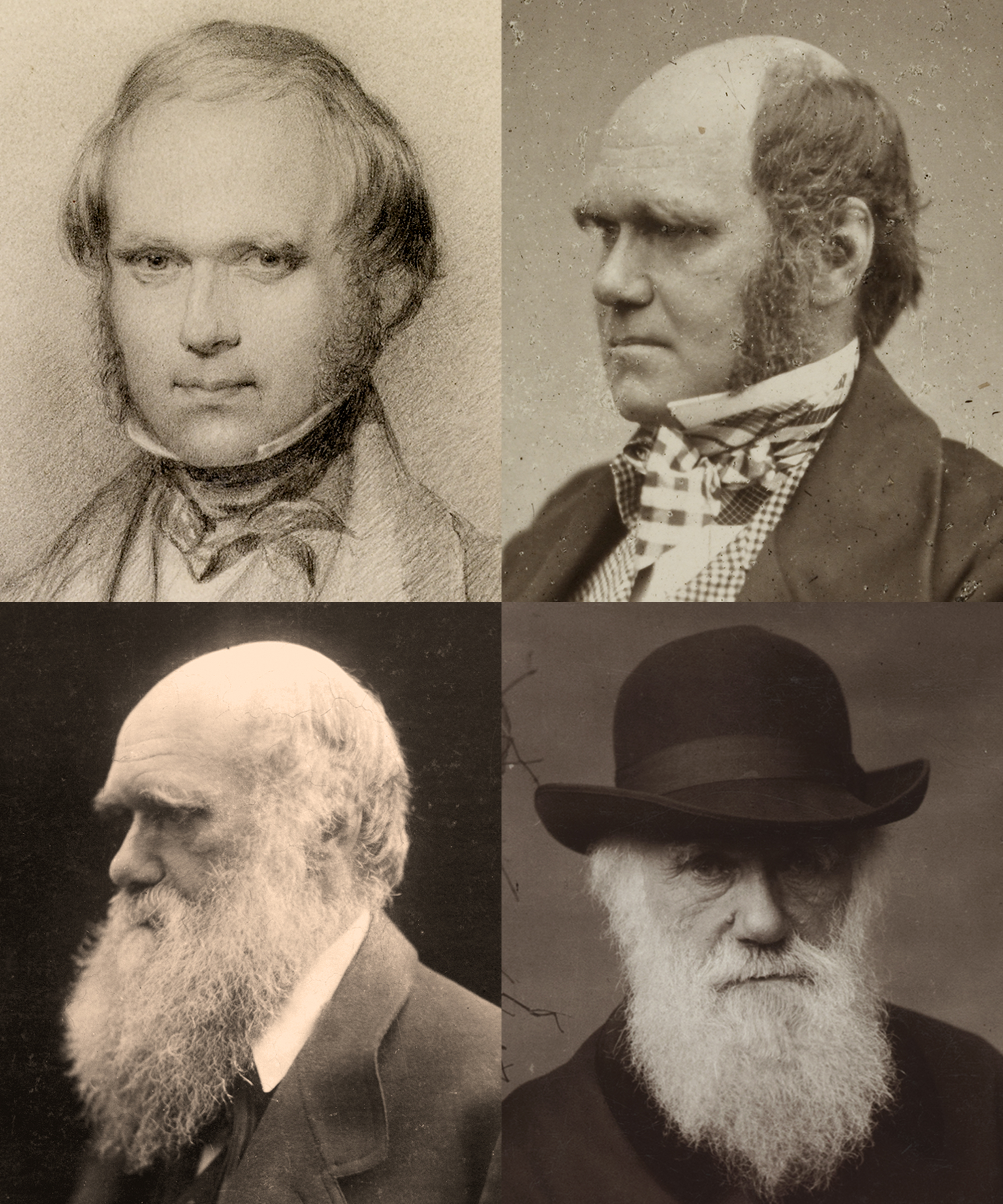 Charles Robert Darwin at various ages