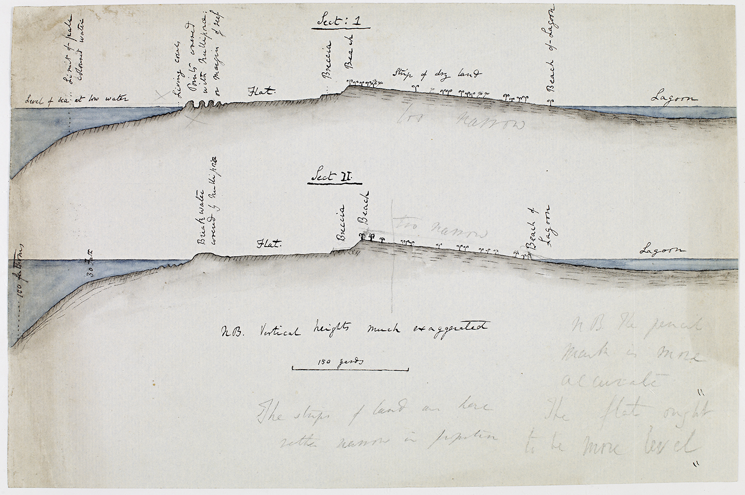 Darwin’s hand-coloured cross-sectional view of the reef at Cocos (Keeling) atoll