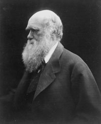 Image: Charles Darwin, 1868, Julia Margaret Cameron, Dar 225:139, ©Cambridge University Library