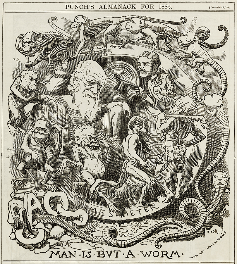 Man is but a worm - caricature of Darwin's theory in the Punch almanac for 1882