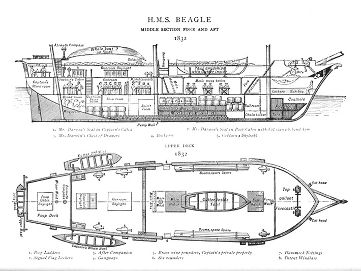 The Voyage of the Beagle | Darwin Correspondence Project
