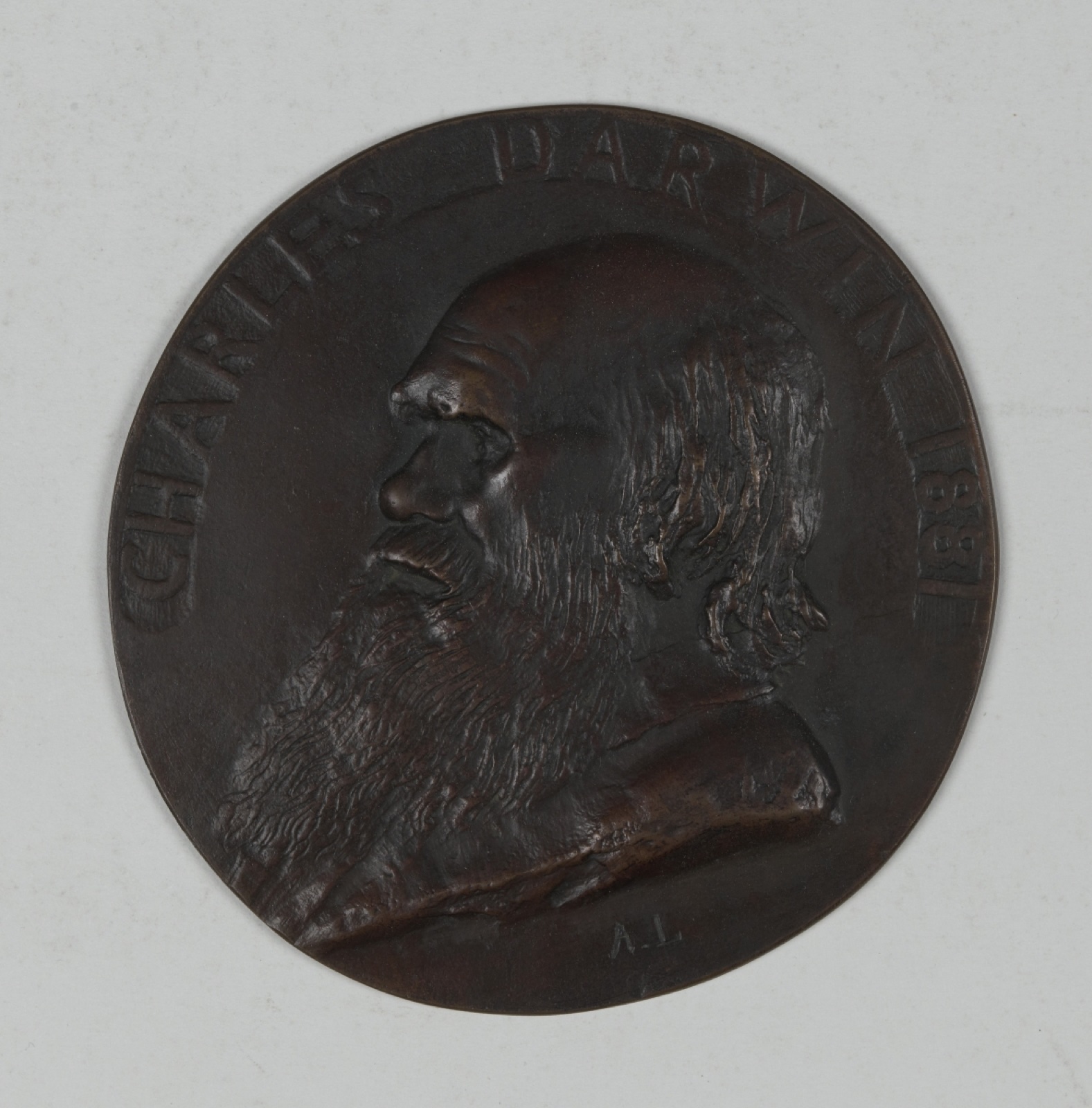 2.8 Alphonse Legros medallion 2.8 Alphonse Legros medallion